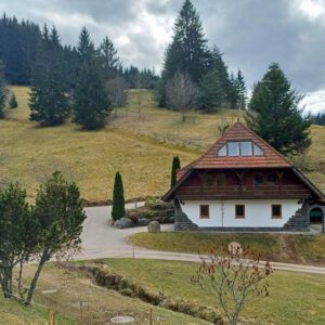 2025HIrzwaldrunde12_bearbeitet-1