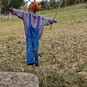 2025HIrzwaldrunde13_bearbeitet-1