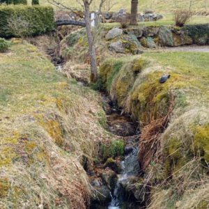 2025HIrzwaldrunde15_bearbeitet-1