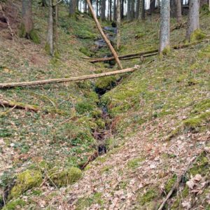 2025HIrzwaldrunde19_bearbeitet-1