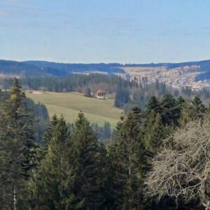 Blöick nach Schonach