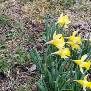 2025HIrzwaldrunde5_bearbeitet-1