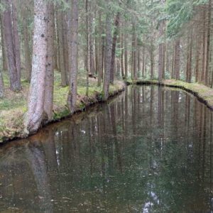 2025HIrzwaldrunde6_bearbeitet-1