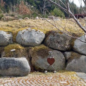 2025HIrzwaldrunde9_bearbeitet-1