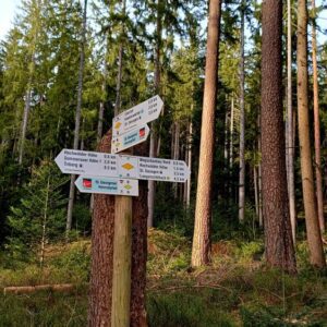 2025_Silberbrünnele 60