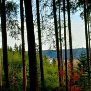 2025_Silberbrünnele 80