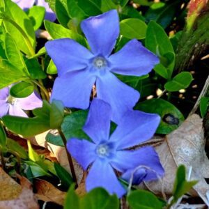 2026_Landwassereck 110