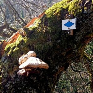 2026_Landwassereck 170