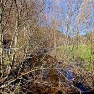 2026_Landwassereck 80